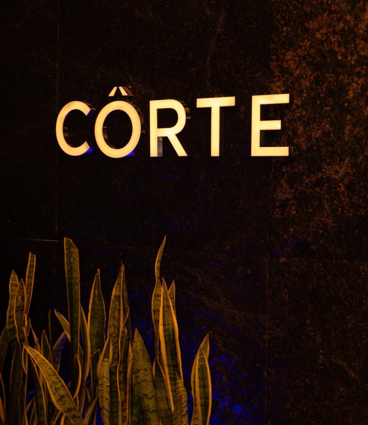 Marca Côrte no Rooftop